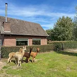 Alpacafarm