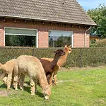 Дом отдыха Alpacafarm *