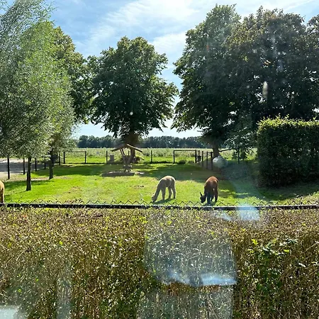 別荘 Alpacafarm Vorstenbosch