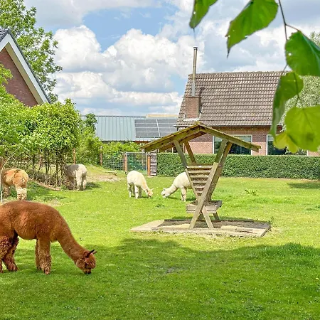 Alpacafarm * Vorstenbosch