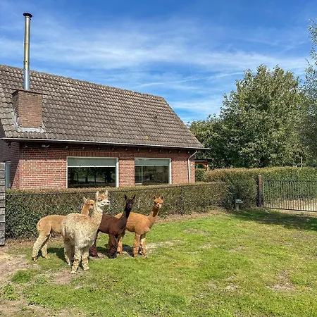 Prázdninový dům Alpacafarm