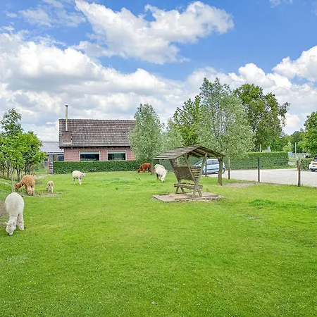 Alpacafarm * Vorstenbosch