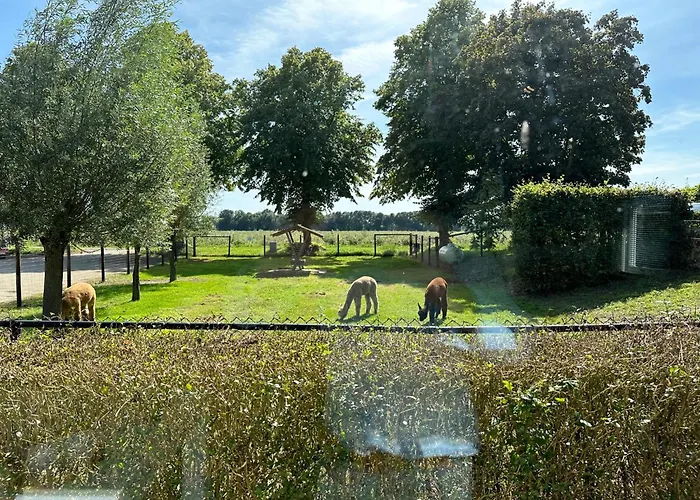 Casa vacanze Alpacafarm Vorstenbosch