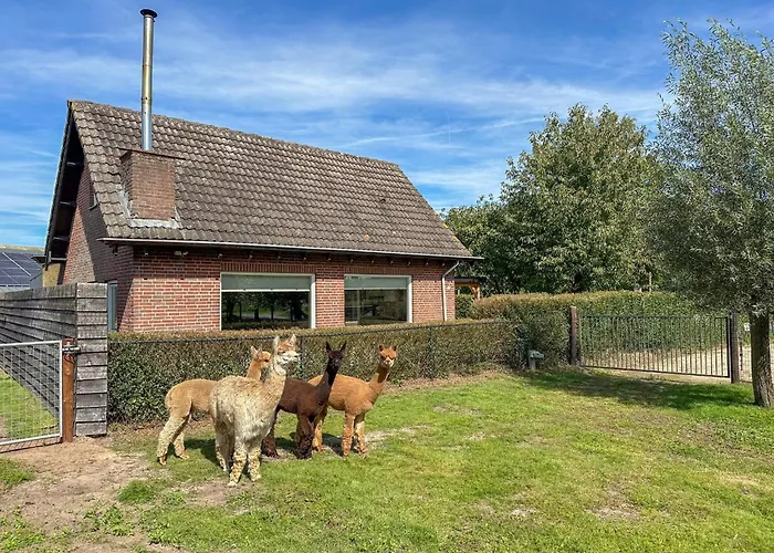 Alpacafarm