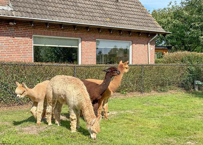 Alpacafarm * Vorstenbosch