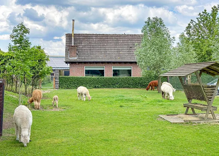 Casa vacanze Alpacafarm Vorstenbosch