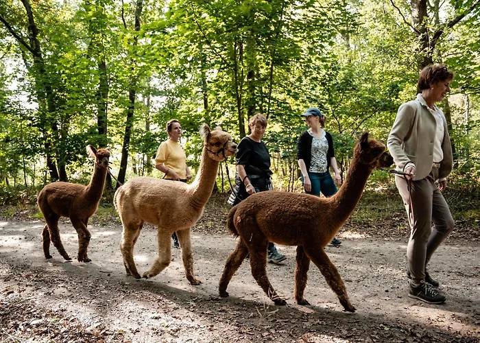 Alpacafarm