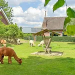 Alpacafarm * Vorstenbosch