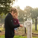 Alpacafarm 펜션