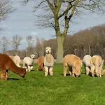펜션 Alpacafarm Vorstenbosch