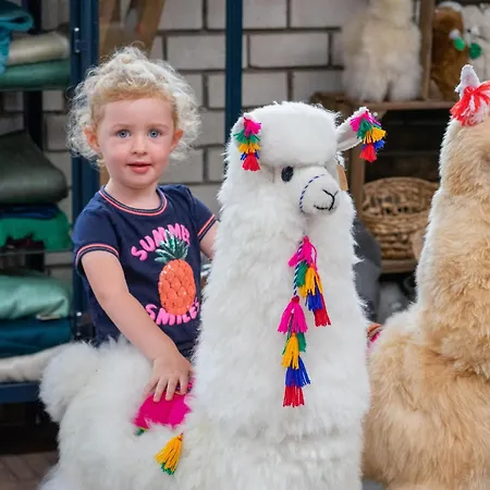 Alpacafarm 펜션
