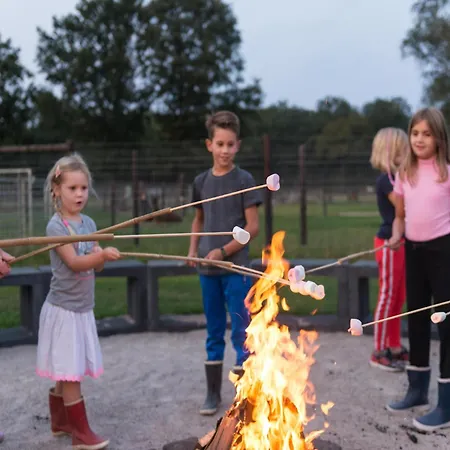 Alpacafarm Vorstenbosch