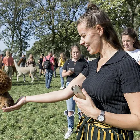 Alpacafarm בית נופש Vorstenbosch